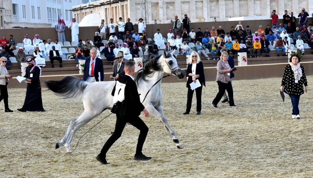 Glimpses from Day 1 of the festival. PICTURE: Thajudheen