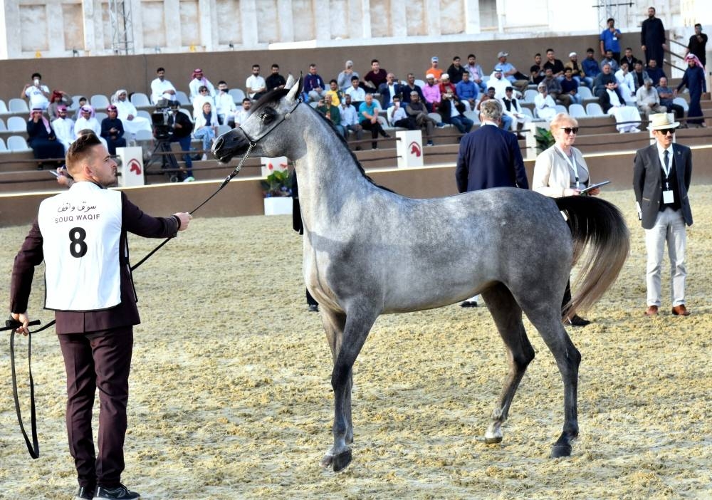Glimpses from Day 1 of the festival. PICTURE: Thajudheen