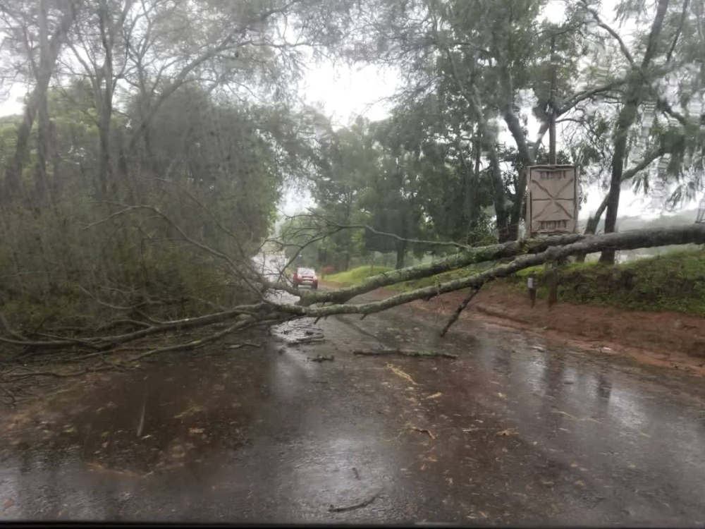 The full extent of the damage and loss of life in Mozambique is not yet clear, as the power supply and phone signals were cut off in the affected area.
