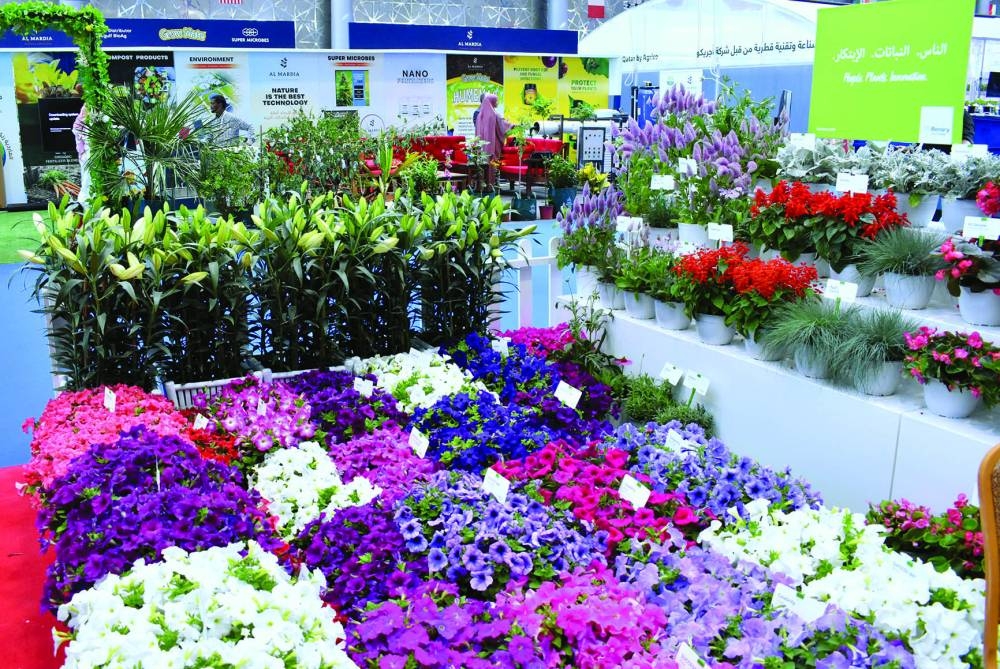 INSIDE PAGE PIC IF NEEDED