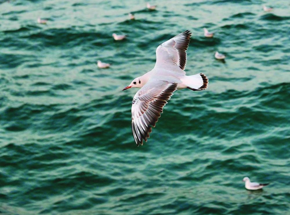 PICTURE: Gulf Times news editor Bonnie James.