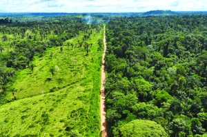 In defence of nature-based carbon markets - Vimarsana News