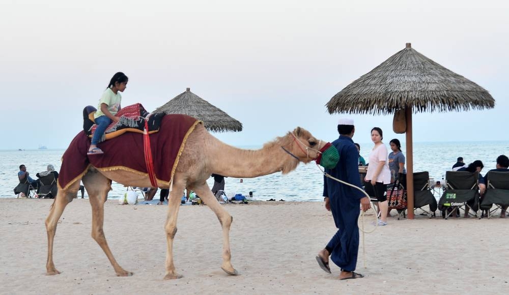 PICTURES: Shaji Kayamkulam