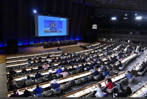 Qatar participates in 216th session of Unesco Executive Board - Vimarsana News