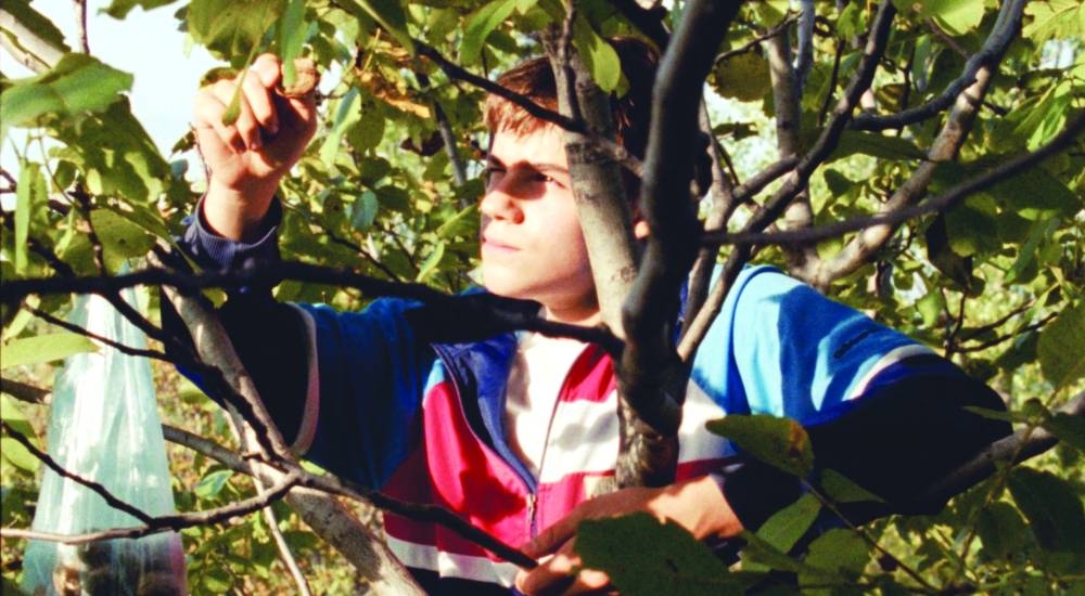 'Lost Country' (France, Serbia, Luxembourg, Croatia, Qatar) by Vladimir Perisic.