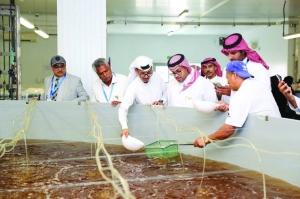 Forum ends with key recommendations for protection of whale sharks - Vimarsana News
