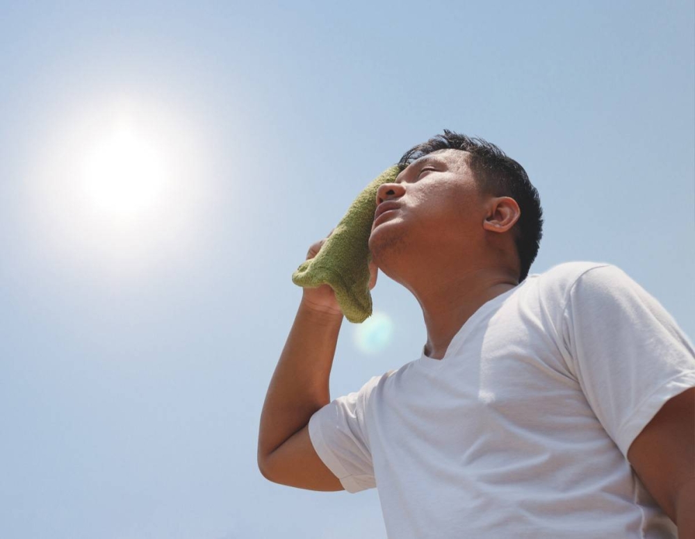 Avoid direct and too much exposure to the sun, especially around noon. 