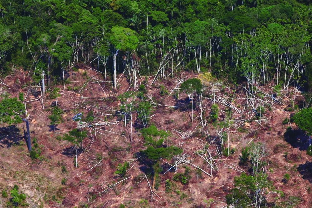 
FILE PHOTO: A deforested and burnt plot in Jamanxim National Forest in the Amazon, near Novo Progresso, Para state, Brazil. 