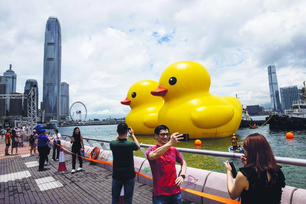 
This picture taken on Friday shows people take photos of the ducks. 