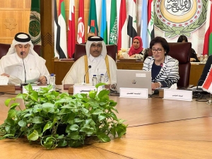 Qatar chairs Arab Ministerial Council for Electricity meeting - Vimarsana News
