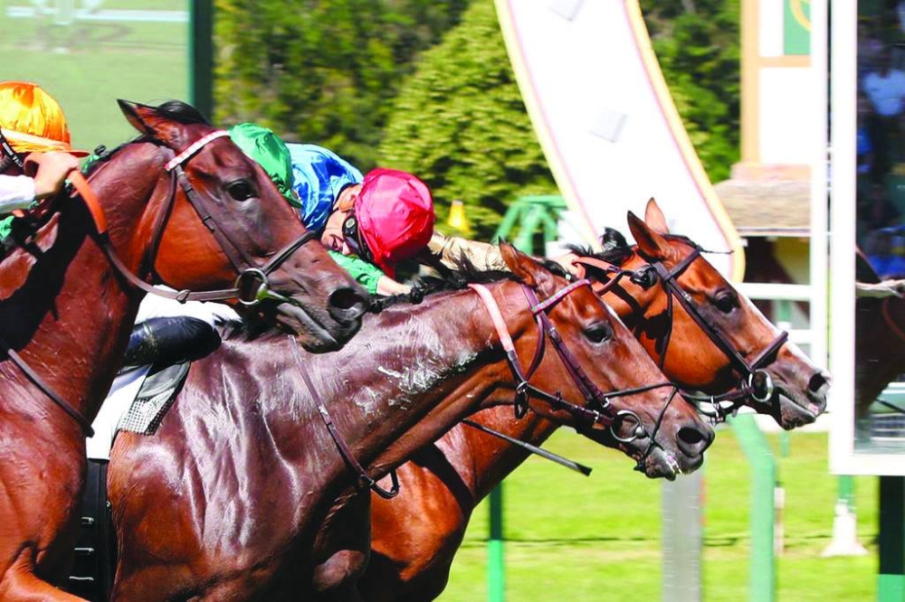 Jockey Christophe Soumilllon rides Bolthole to the Listed Grand Prix de Compiegne victory.