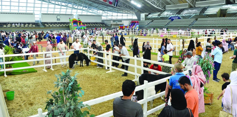 The diverse array of family-oriented activities and entertainment at Al Shaqab will continue until July 1, between 4pm and 8pm. PICTURES: Shaji Kayamkulam.