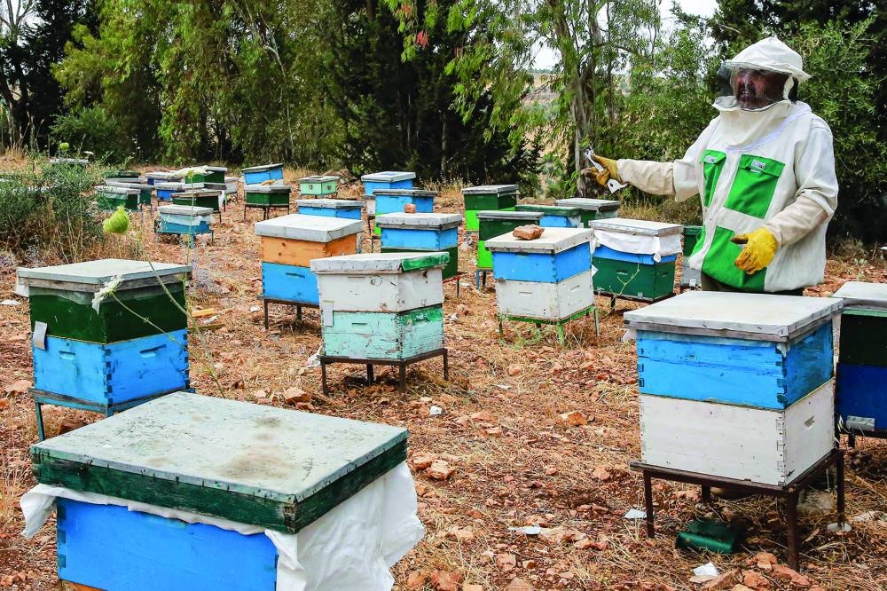 Mutasim Hammad, a beekeeper and retired employee of the security department, speaks as he checks on bee hives at an apiary in Irbid in northern Jordan.