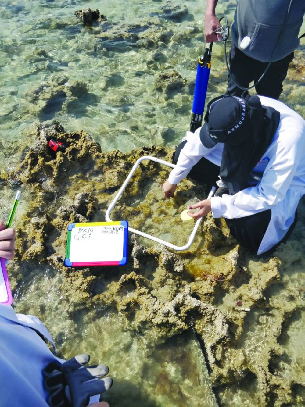 Students examine algae