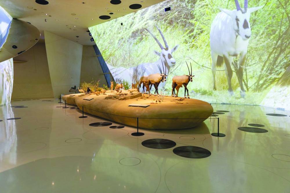 NMoQ houses 11 captivating galleries. PICTURE: QM