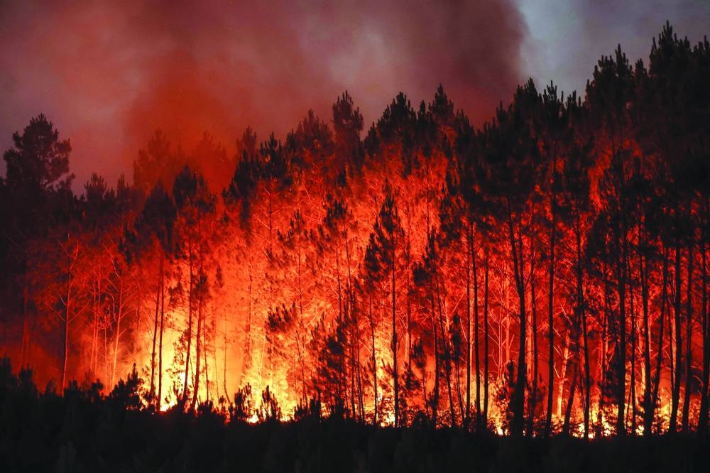 
This photograph shows a forest fire in Louchats, south-western France. 