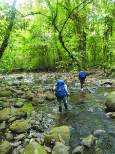 For migrants, the Darien Gap is testing; for tourists, a magnet - Vimarsana News
