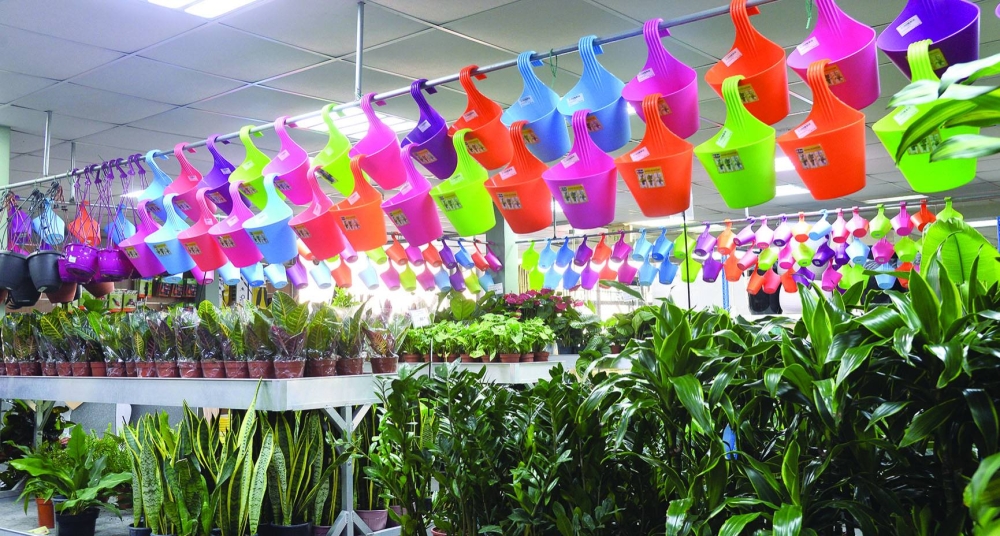 PICTURE: Shaji Kayamkulam