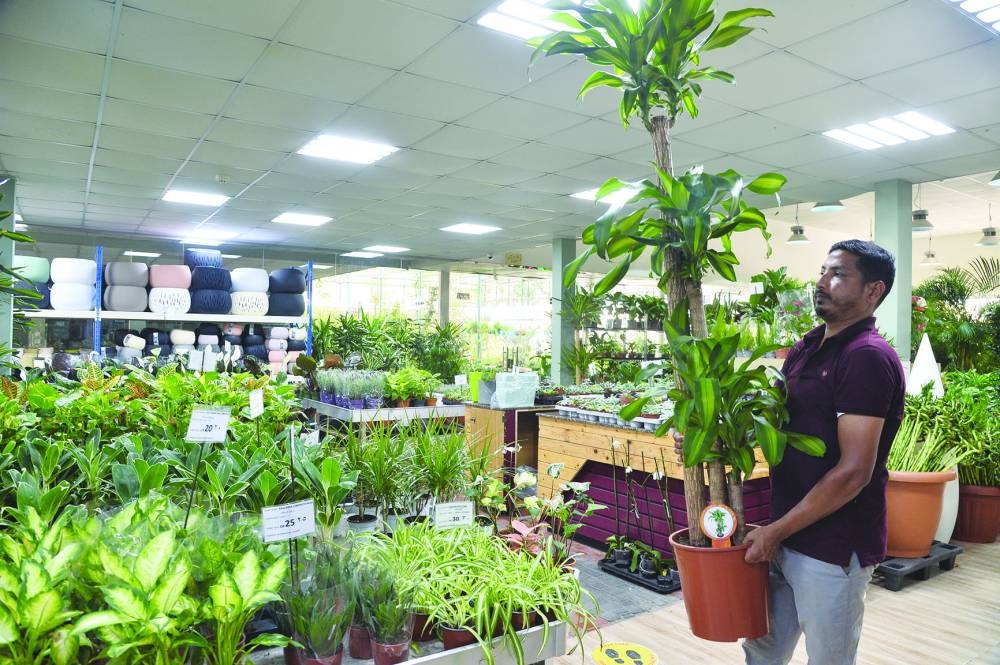 PICTURE: Shaji Kayamkulam