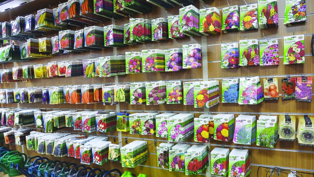 PICTURE: Shaji Kayamkulam