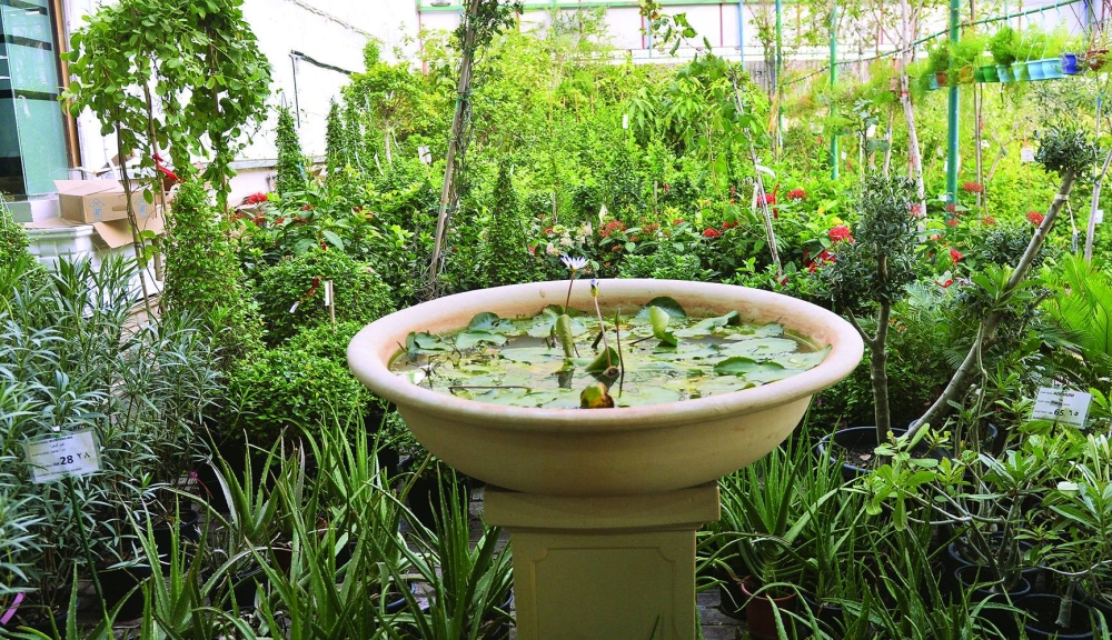 PICTURE: Shaji Kayamkulam