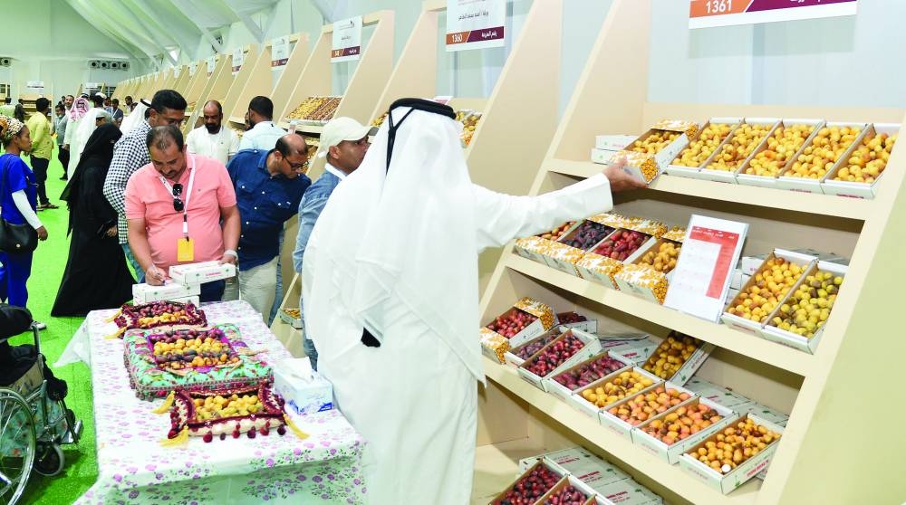 PICTURES: Shaji Kayamkulam.