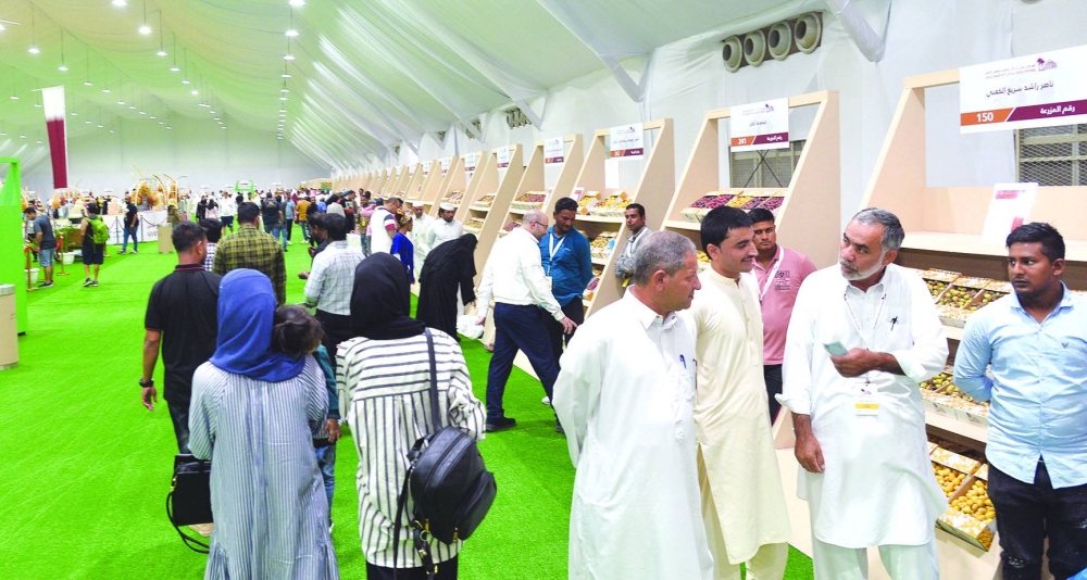 PICTURES: Shaji Kayamkulam.