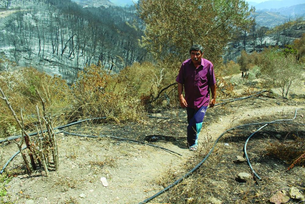
Izzadin Zuhaira, a 72-year-old Syrian farmer, walks near a burnt area following wildfires in the northern countryside of Latakia, Syria. 