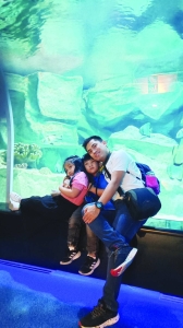 Hamad Port Aquarium a premier attraction in Qatar - Vimarsana News