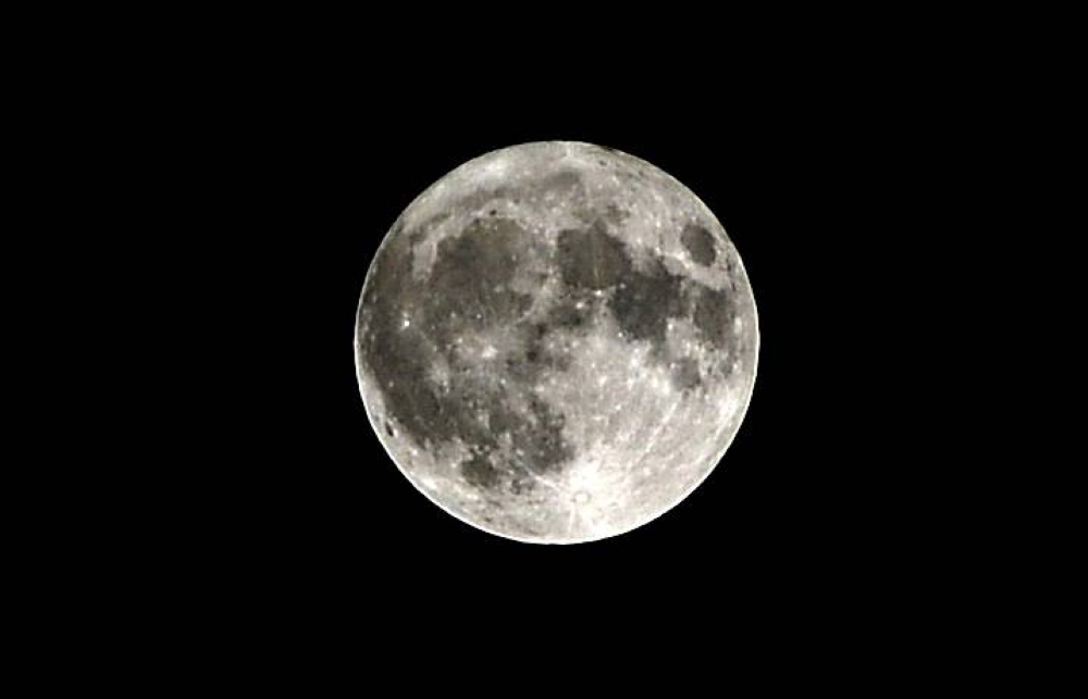 ​​​​​​​PICTURE: Shaji Kayamkulam