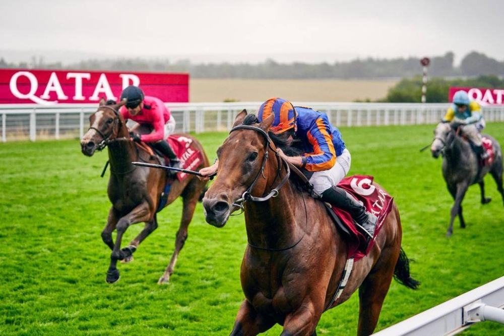 Paddington, ridden by Ryan Moore, eases to Qatar Sussex Stakes win. PICTURE: Dominic James
