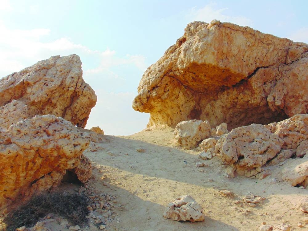 PICTURES: Ayman Adly