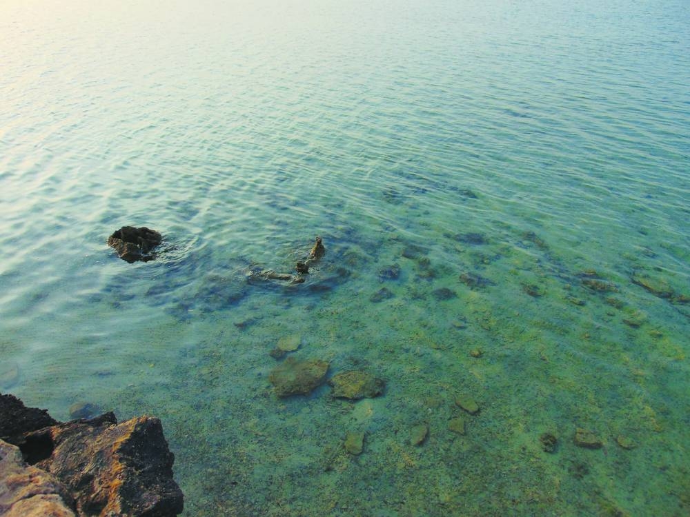 PICTURES: Ayman Adly