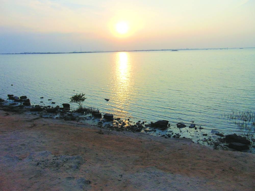 PICTURES: Ayman Adly