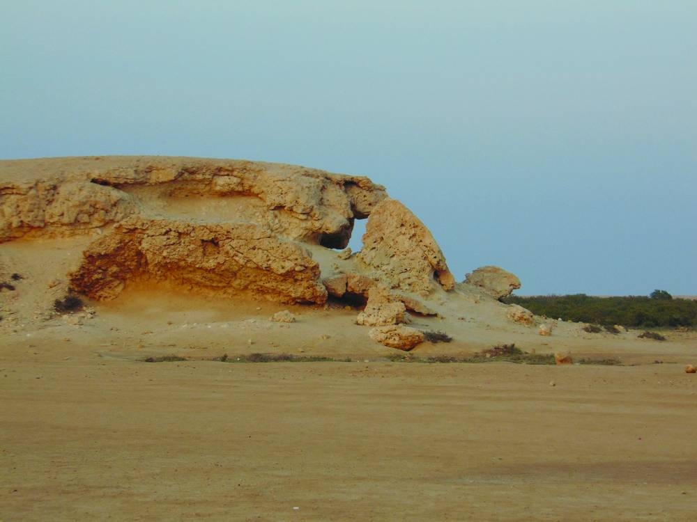 PICTURES: Ayman Adly