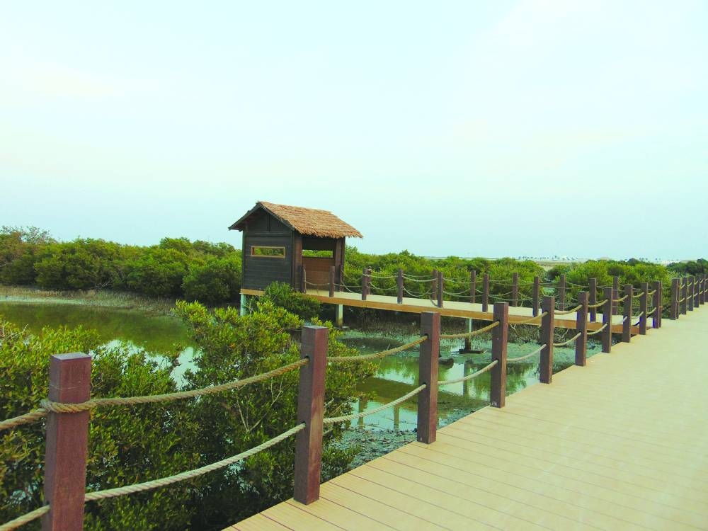 PICTURES: Ayman Adly