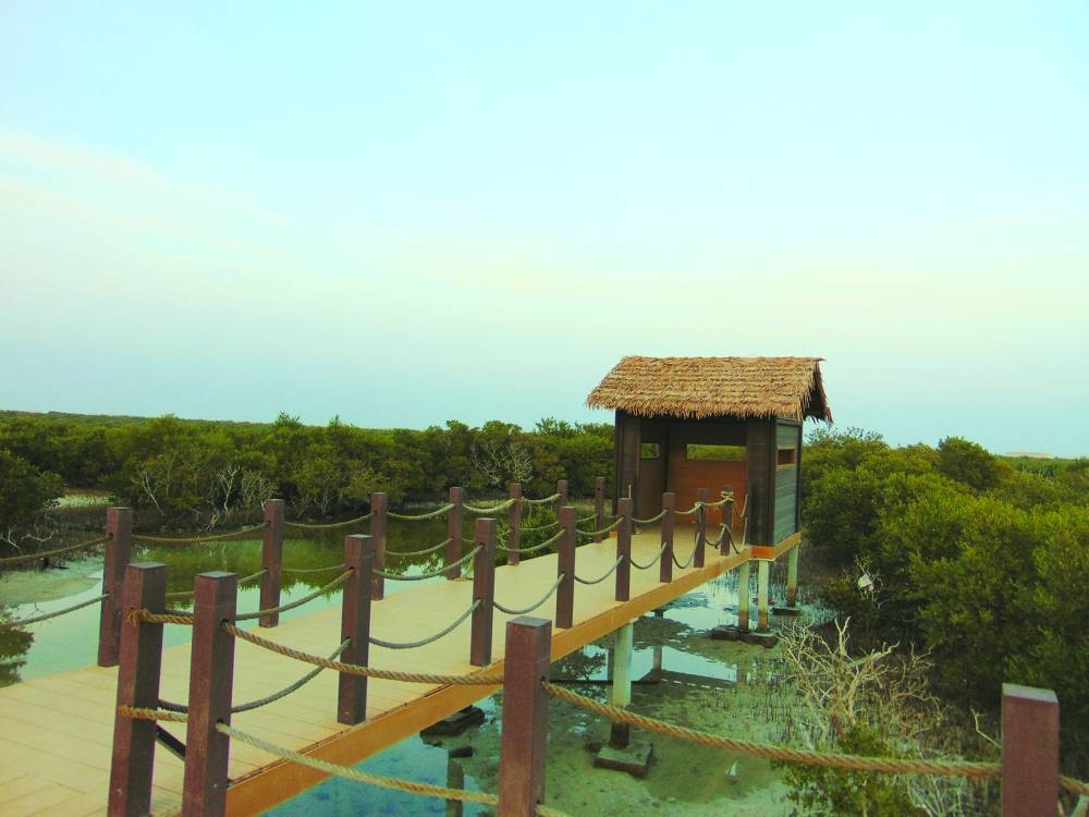 PICTURES: Ayman Adly