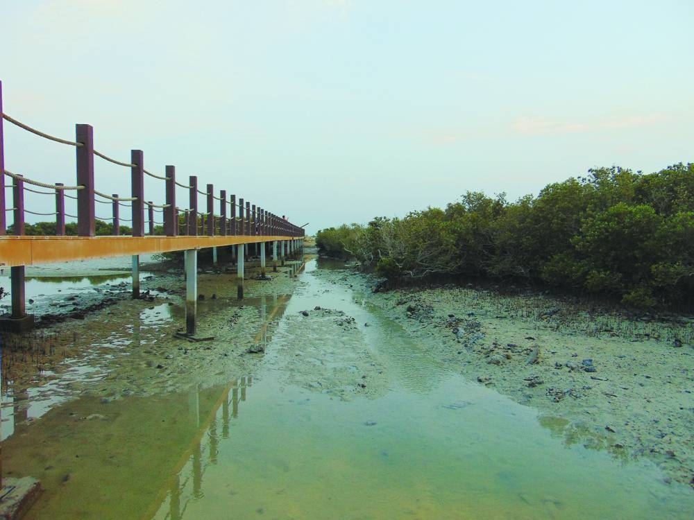 PICTURES: Ayman Adly