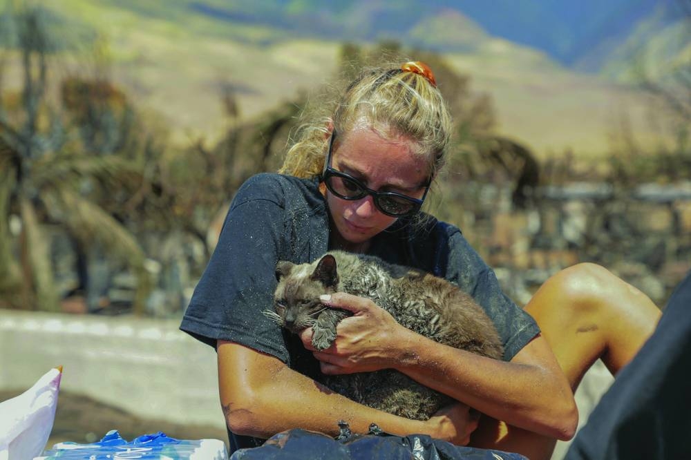 
A woman cradles her cat after finding it in the aftermath of a wildfire in Lahaina. 