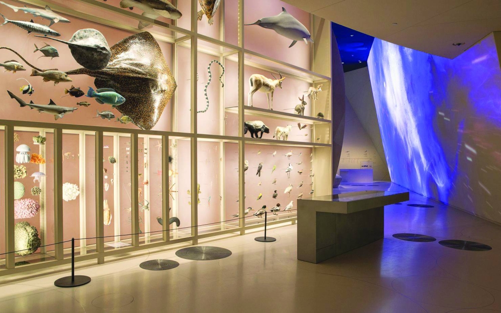 Family Exploration Journey at NMoQ on August 19. PICTURE: QM