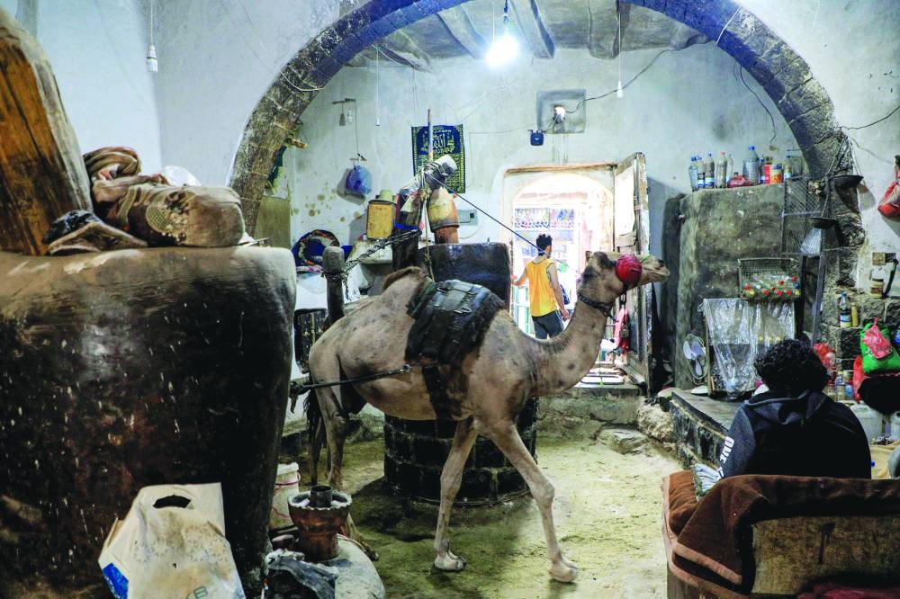 
A camel operates a traditional press producing natural oils at a shop in the old city of the Yemeni capital Sanaa. 