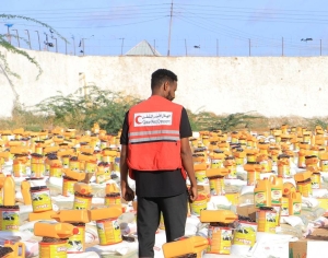 QRCS, KRCS distribute food parcels among drought-affected in Somalia - Vimarsana News