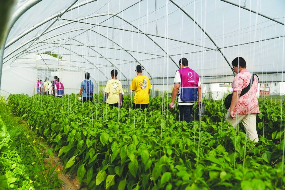 The ‘Charity Trip’ programme, organised by QC for different age groups, aims to provide a unique experience that combines tourism, entertainment, and close interaction with humanitarian fieldwork.