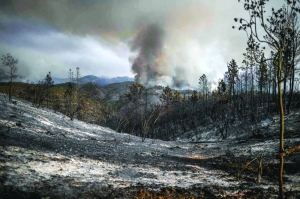 2023 likely to be the hottest year in history - Vimarsana News