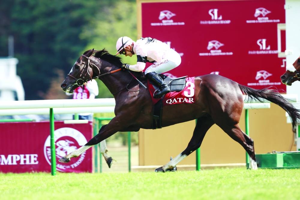 
Iresine will try to keep his crown in the Qatar Prix Foy Group 2 race. PICTURE: Zuzanna Lupa 