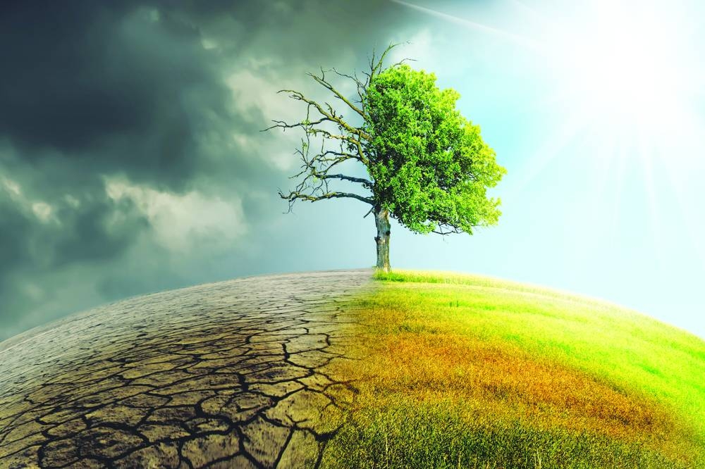 The new initiative aims to  address Qatar's environmental challenges.