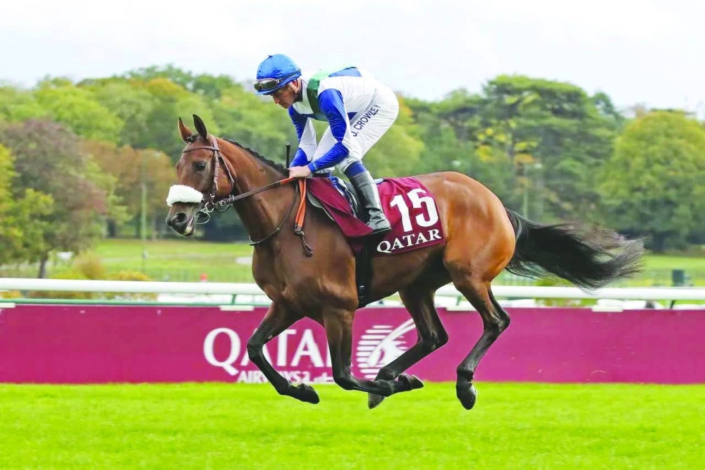 
Khalifa bin Sheail al-Kuwari-owned Lady Princess  