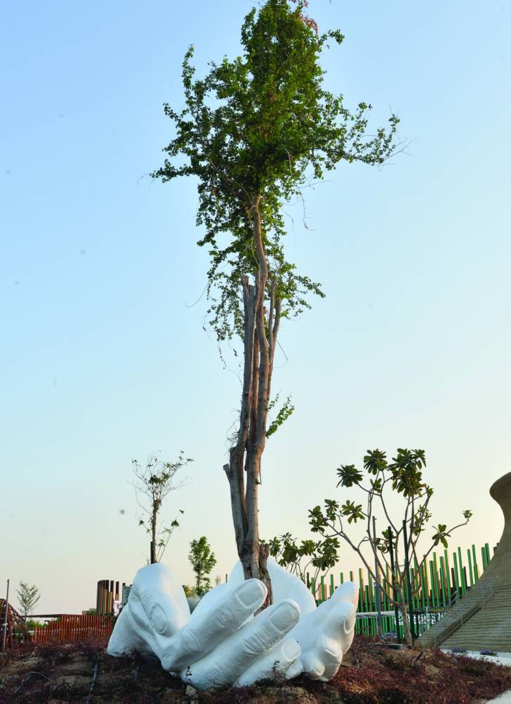 PICTURE: Shaji Kayamkulam