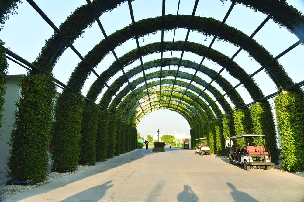 PICTURE: Shaji Kayamkulam