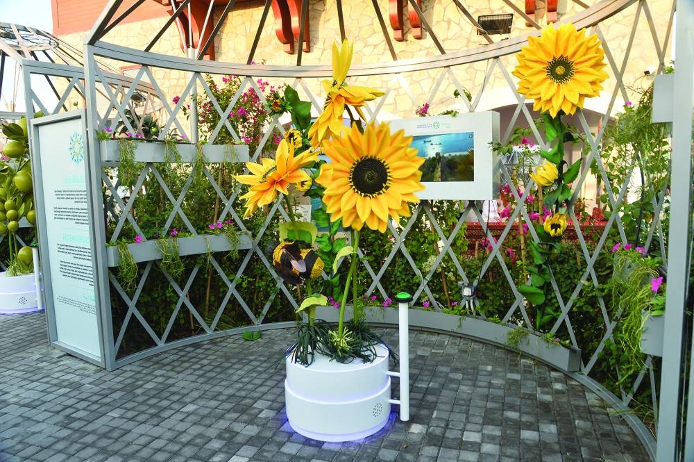 PICTURE: Shaji Kayamkulam